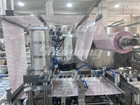 Machine d'emballage sous blister pour œufs surprise à 6 servomoteurs SL-480DM |   Thermoformage et thermoscellage pour jouets et confiseries