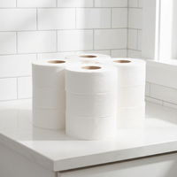 Distributeur de papier toilette en rouleau jumbo 1 ou 2 plis, doux et de qualité supérieure, pour magasins, supermarchés et lieux publics
