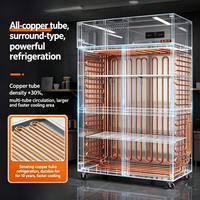 Congélateur vertical en acier inoxydable, refroidisseur à air, réfrigérateur commercial à température unique, réfrigérateur vertical pour restaurant