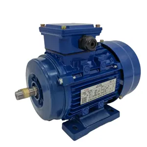 YE3 Serie 380V hohes Drehmoment niedrige Drehzahl 1,5 kW 2 PS Dreiphasen-Asynchron-Wechselstrom motor 3-Phasen-Motor