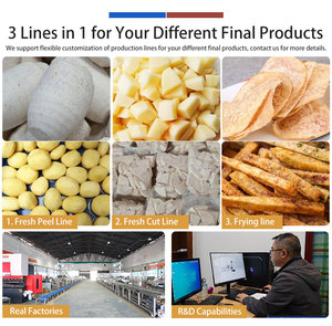 Línea Completa de Procesamiento de Patatas a Gran Escala: Limpieza, Clasificación, Corte, Fritura y Empaque, 1t/h, Totalmente Personalizable - Product Image 6