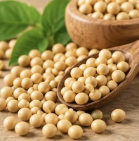 Poudre d'extrait de soja MANHAY 20% isoflavone, qualité alimentaire, séchée par pulvérisation