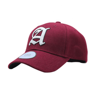 Gorra de Béisbol Personalizada con Bordado 3D, MOQ Pequeño, Gorras Deportivas