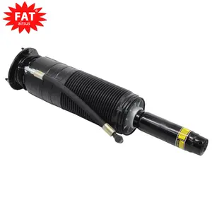 Front Left / Right Car Suspension Pneumatic For Mercedes ABC S55 65 AMG W215 CL S Class Hydraulic Shock Strut