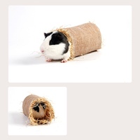 Petit lapin, hamster, cochon hollandais, cochon d'Inde petit animal, appréciant le tunnel de nid d'herbe fraîche Vente en gros