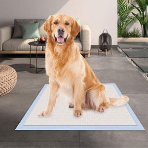 Tapis d'apprentissage jetables pour chiots et chiens, pour l'entraînement à la propreté - Product Image 1