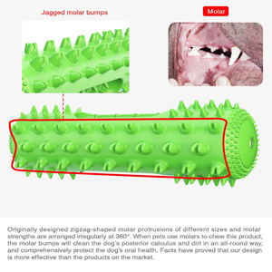 Spazzolino da Denti per Cani, Giocattolo da Masticare in TPR per la Pulizia Dentale degli Animali Domestici, Bastoncino Molare per Cani che Masticano Aggressivamente - Product Image 4