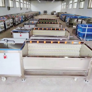 Laveuse-éplucheuse à rouleaux en acier inoxydable pour pommes de terre, légumes-racines et fruits, capacité 200 kg - Product Image 5