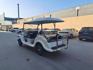 Nuevo Modelo de Auto Clásico Vintage de 5-11 Asientos, Gran Capacidad de Subida, Bajo Consumo de Energía, Conducción Silenciosa, Fácil Mantenimiento, Certificado para Venta al Por Mayor - Product Image 4