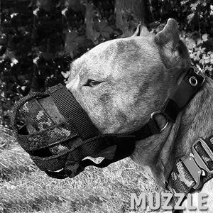 <span class=keywords><strong>Bozal</strong></span> de perro personalizado <span class=keywords><strong>bozal</strong></span> de nylon para <span class=keywords><strong>canino</strong></span> - Product Image 3