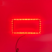 Cadre de plaque d'immatriculation à LED phosphorescente personnalisé et coloré, porte-plaque standard USA, cadre de plaque d'immatriculation pour voitures