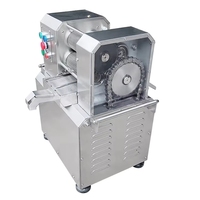 Nieuwe fabrikant directe verkoop volautomatische roestvrijstalen suikerrietpers 5L 1100W stille werking