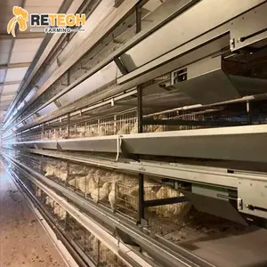 Egg Layer Farming Equipment H Type Fully Automatic Battery Chicken Poultry Cage