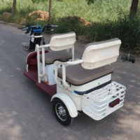 Triciclo Eléctrico Compacto de Larga Duración de Batería, Dimensiones de 140 cm, Motor de 650 W/800 W para Paseos Urbanos Tranquilos