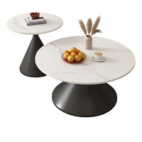Ensemble de tables basses modernes minimalistes en acier inoxydable, meubles de salon de haute qualité et écologiques