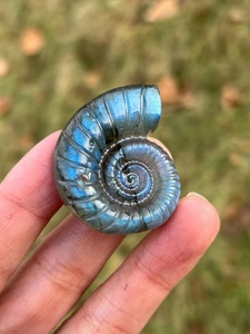 Figura de Concha de Caracol Pulida al por Mayor, Totem Anka, Cruz Ansata, Arte Folclórico, Feng Shui, Decoración del Hogar, Cristal de Sanación Reiki - Product Image 3