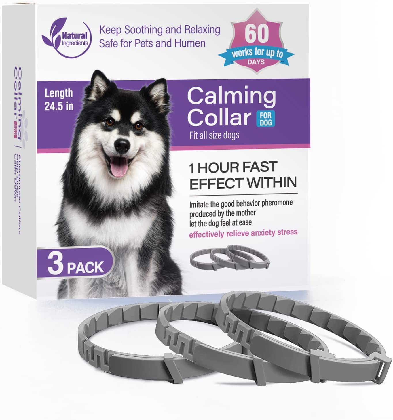 3 pièces Chien Gris
