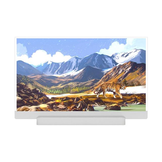 Hot Sale Galaxy Flexible Led Screen Transparent Oled Soccer Stadium 55 Inch Led Display Outdoor Led Mesh/facade  Tv Screen