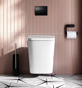 Siège de toilette moderne en céramique monobloc sans rebord Australie Filigrane Mural WC Clapet Remplacement P-Trap Drainage Inclus - Product Image 2