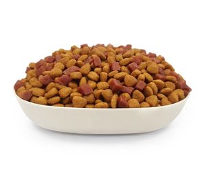Usine d'aliments pour animaux de compagnie directement séchés chat chien formule sans grain vente en gros d'aliments pour animaux de compagnie nourriture de haute qualité pour chats aliment de base riche en protéines - Product Image 5