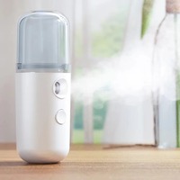Dropshipping Fulfillment Agent 2025 Portable USB Mini Facial Nano Humidificador de aire Cuidado DE LA PIEL Instrumentos de belleza