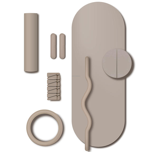 14-Piece Pilates Kit For Women - Includes Pilates Ring, Ball, Resistance Bands, Yoga Strap & Bag For Home Workouts