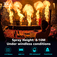 Machine à Effet de Feu DMX512 à Tête Unique, Étanche, 300W, Jet Vertical Ascendant pour Spectacles Scéniques et Événements Extérieurs