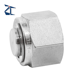 Zcskpgk Ống thép không gỉ Phụ kiện cổng nối ống kết nối ống nén phụ kiện ferrule cắm với ren kết thúc - Product Image 1