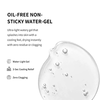 Sérum Facial 2% Acide Salicylique Zinc PCA Purification Précise des Follicules OEM Contrôle du Sébum Anti-Acné Élimination des Points Noirs Nez et Visage
