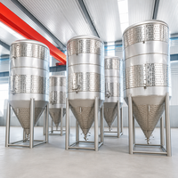 Cuve de Fermentation Laitière Tonsen 1000L en Acier Inoxydable 10HL avec Agitateur pour la Production de Yaourt et de Lait