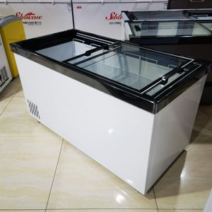 2m Cheap Deep Freezers 2 Doors Direct Cooling Manual Defrost <strong>Gas</strong> <strong>Fridges</strong> and Deep <strong>Fridge</strong> Freezer - Product Image 6