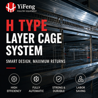 Cage à poulets de type H, cage à poulets automatique, cage à batterie galvanisée à chaud, équipement d'élevage avicole
