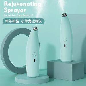 Handheld Facial Mist Sprayer 100Ml 500Maha Battery Ultrasonic Hydration Device For Home Use - Product Image 3