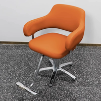 Chaises de coiffure pour femmes bon marché Chaise de coiffure Fauteuils de salon pour meubles de salon de beauté