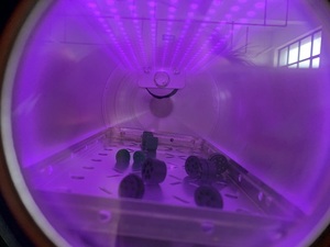 Hệ Thống Điều Khiển PLC 5L Chân Không Plasma Thợ Khắc Bằng A Cít Plasma Máy Khắc Piror Để Liên Kết Và In Ấn - Product Image 5