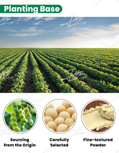 Phụ gia thực phẩm chất nhũ hóa chiết xuất đậu nành hữu cơ bột <span class=keywords><strong>Lecithin</strong></span> đậu nành CAS 8002 - Product Image 6