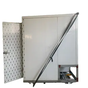 Freezing Room Mobile Container Storage 100mm Panel Thickness Farms Food Shops-Cold Room Freezer Fish Vegetables Fruits Ice Cream