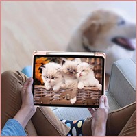 Étui intelligent multi-angles en cuir PU avec support pour iPad Air 4/Air 5, avec emplacement pour stylet et dos transparent en PC acrylique