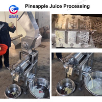 Commerciële citroenpersmachine, industriële citruspers, limonade- en zuurzakfruitpers, prijzen, appelpers voor sapbereiding