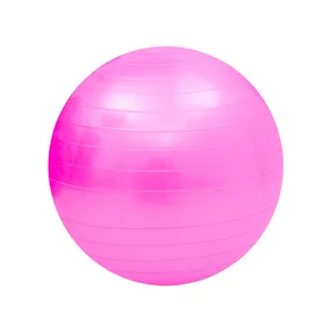 High Quality 55cm Round PVC Anti-Burst Fitness Ball Gym Balance Yoga Pilates Exercise Ball With Air Pump