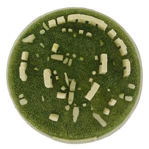 <span class=keywords><strong>Stonehenge</strong></span>-figura de Trilithon en miniatura para decoración, figura de piedra Trilithon, regalo de recuerdo personalizado - Product Image 4