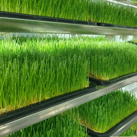 Conteneurs de culture hydroponique AGG à grande structure en acier – Conteneur de culture de fourrage agricole