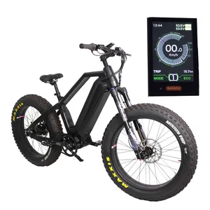 Yeni varış orijinal yeni indirim satış Rohloff 14 hızları yağ ebike kemer sürücü elektrikli bisiklet 1000w ultra M620 motor ile