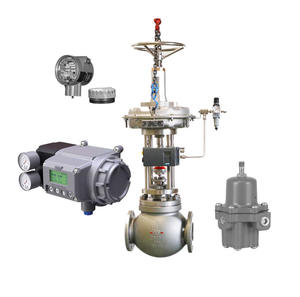Vanne Jiangnan avec filtre Fisher 67CFSR, vanne de réduction de pression 4211/4210, transmetteur de position, positionneur de vanne Masoneilan SVI3 - Product Image 2