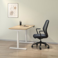 Bureau assis-debout ergonomique moderne OMNI en acier inoxydable avec plateau en bois, fixation murale, gestion des câbles, table relevable pour bureau ouvert (3-5 ans)