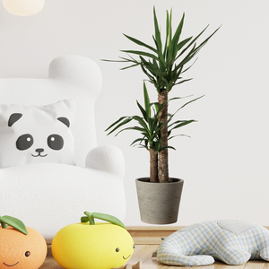 Adesivo Murale con Piante in Vaso <span class=keywords><strong>per</strong></span> Soggiorno, Camera da Letto, Corridoio, Decorazione di Sfondo, Carta da Parati Autoadesiva in PVC <span class=keywords><strong>per</strong></span> Festività - Product Image 1