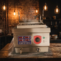 Cuisinières à nouilles efficaces pour usage commercial, modèle RKMF-T202, en acier inoxydable, fournies par l'usine