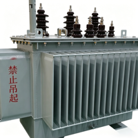 Transformateur triphasé immergé dans l'huile 100 kVA 200 kVA 400 kVA à double enroulement toroïdal 60 Hz sortie 400 V extérieur personnalisé entrée 11 kV