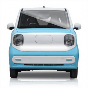 Características Únicas del BRT: Velocidad Máxima 90 km/h, Autonomía 170 km, Mini Auto Eléctrico para Adultos, Vehículo Eléctrico de Baja Velocidad 2026 - Product Image 5