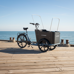<span class=keywords><strong>Vélo</strong></span> cargo familial néerlandais à 3 roues, moteur arrière 250W, cadre en acier, capacité de charge élevée, Lastenrad, <span class=keywords><strong>vélo</strong></span> cargo - Product Image 2